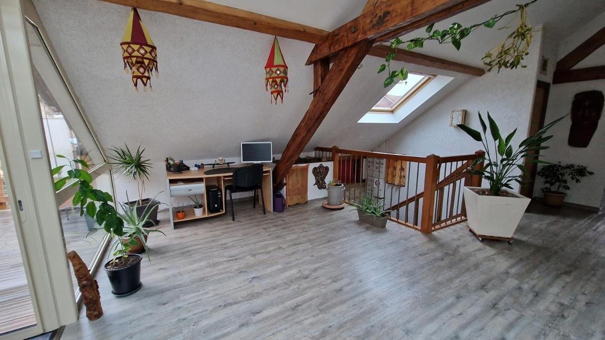 Bel Appartement 120 M² Tres Lumineux Avec Terrasse Morvillars Dış mekan fotoğraf